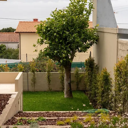 Вилла 3 Olives House - By 3 Marias